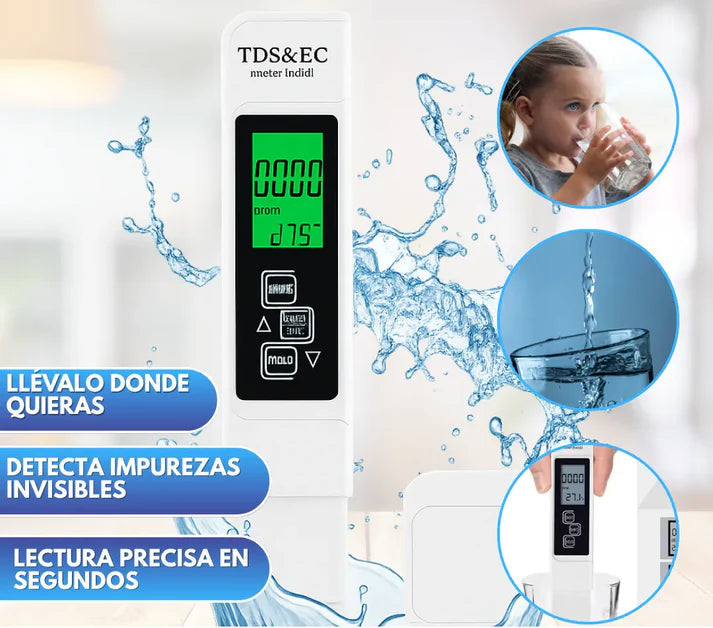 Encabezado